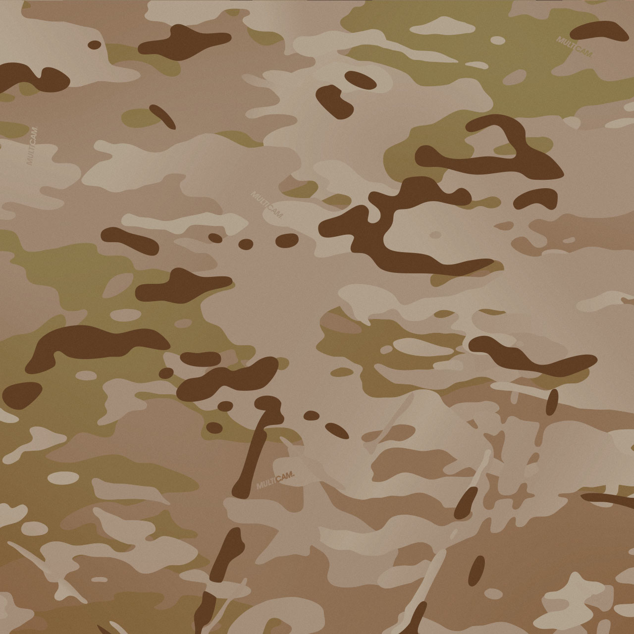 MultiCam Arid